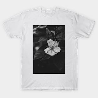 Pure. T-Shirt